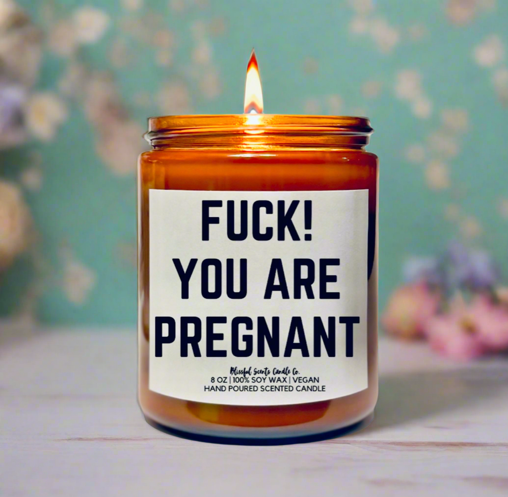 F*ck You Are Pregnant