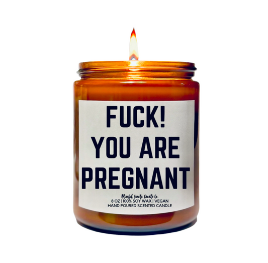 F*ck You Are Pregnant